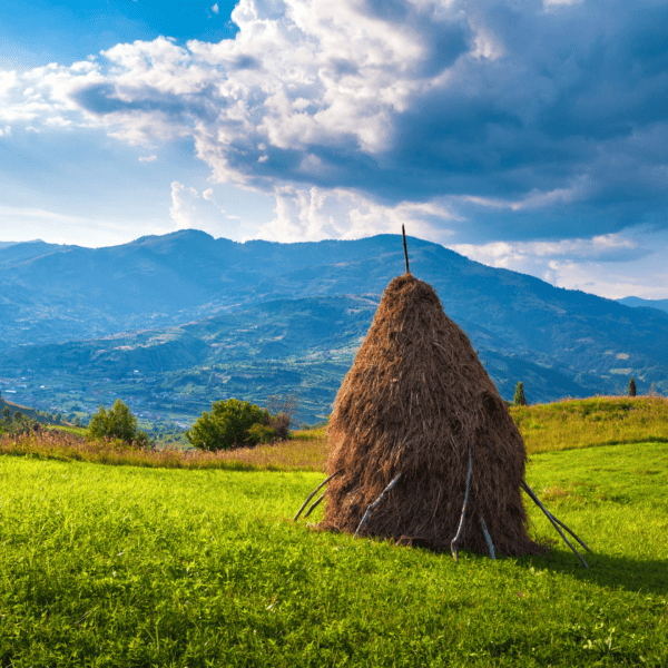 Romania haystack with mountains in background