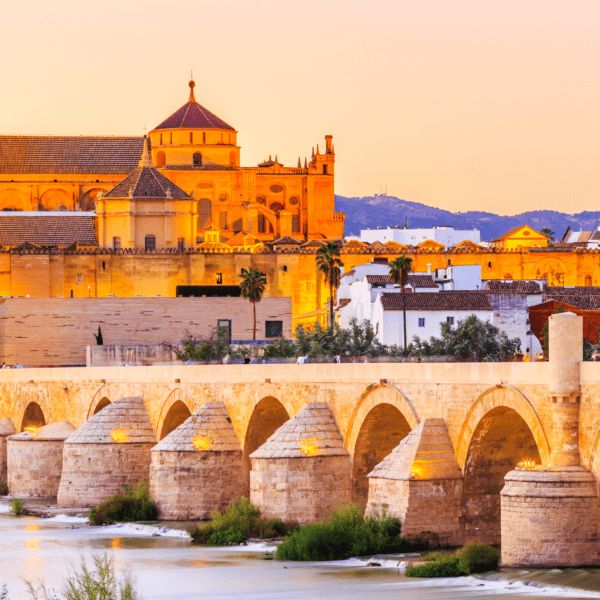 Spain stone arch bridge over a river with a large cathedral in the background