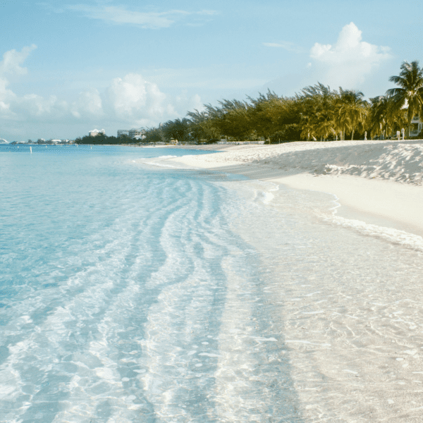 cayman islands beach showing white sands and blue waters