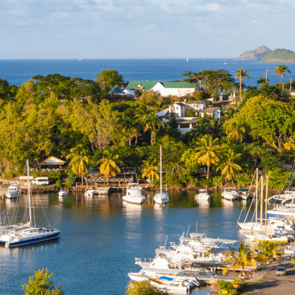 St. Lucia from drone showing boats, trees and homes