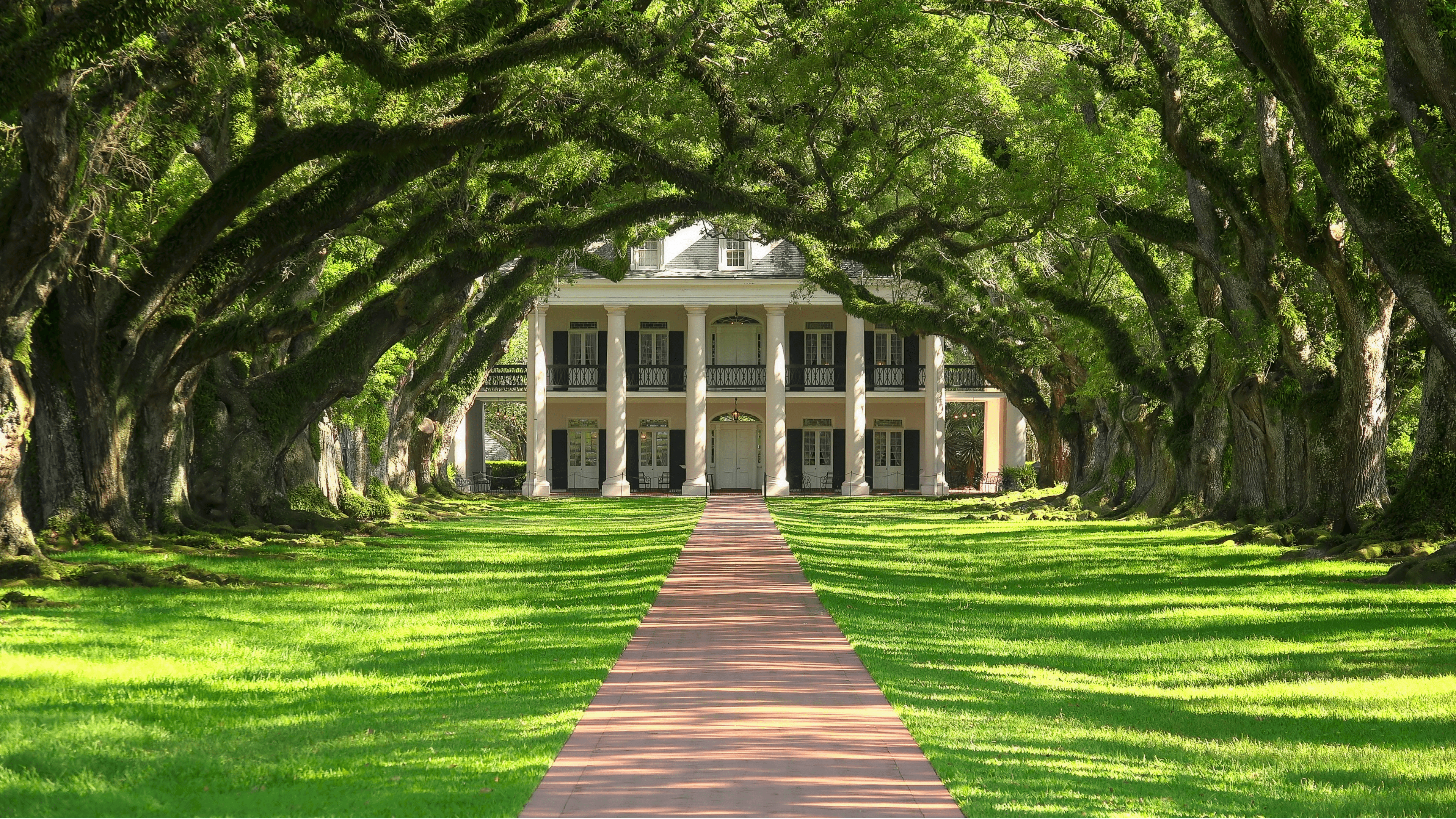 Louisiana home with oak trees over walkway