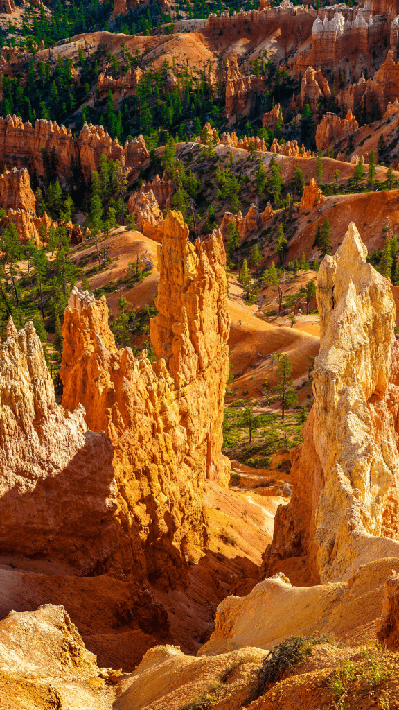 yellow and orange hoodoo rock formations in bryce canyon