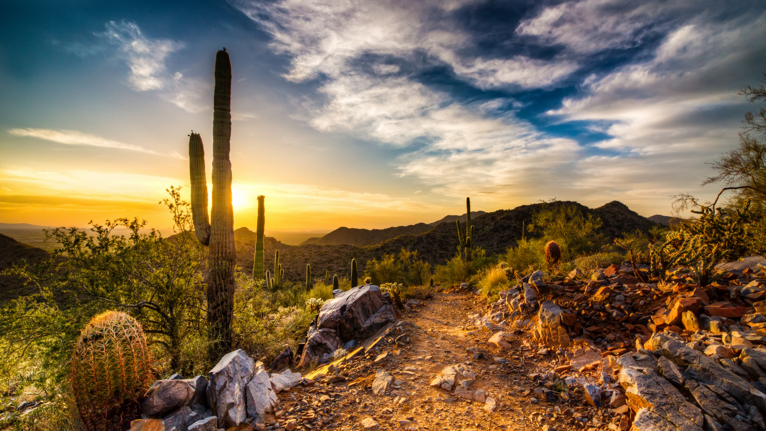 Arizona desert sunset