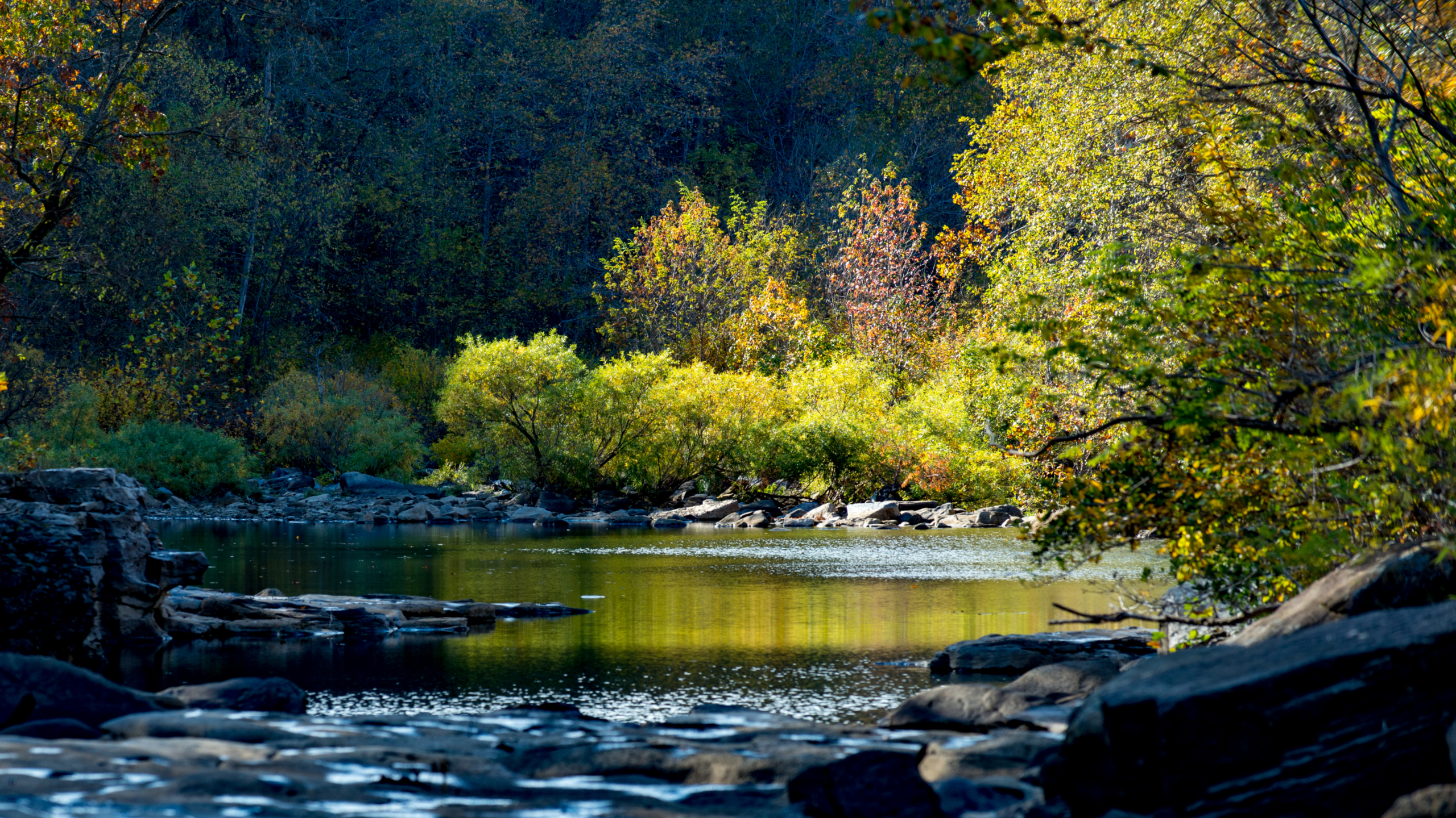 Arkansas river and trees