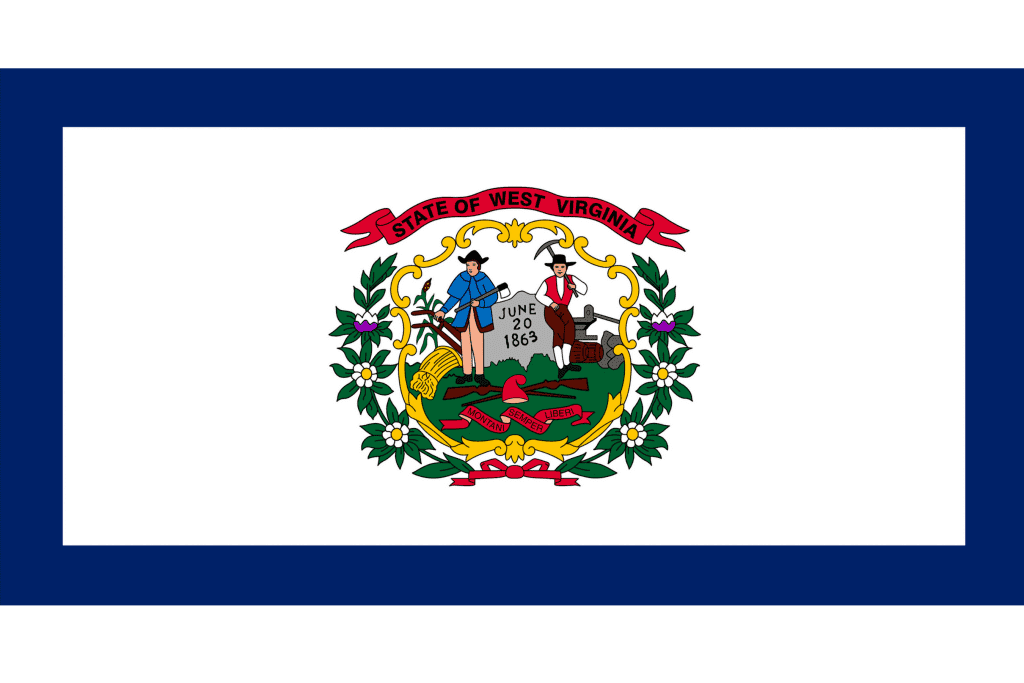 Blue and white flag with center emblem