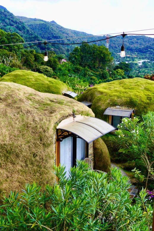 hotel covered in grass like a hobbit home
