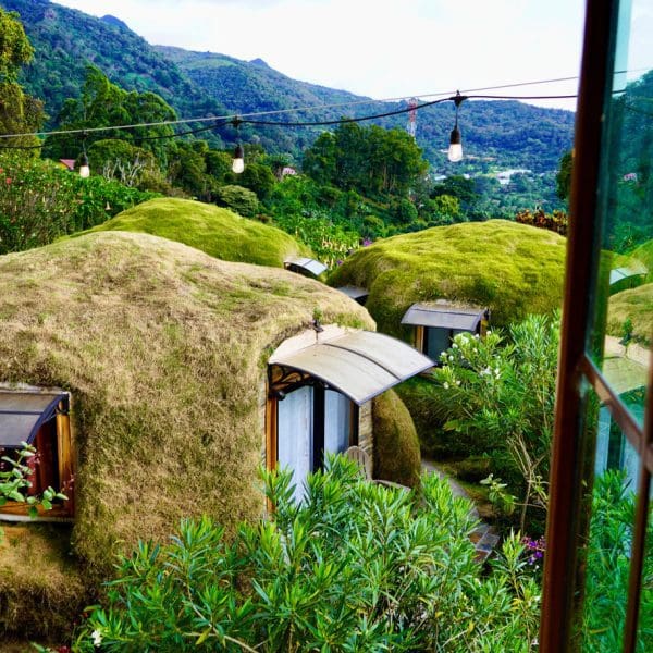 hotel covered in grass like a hobbit home