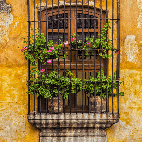 window with bars and flowers in Antigua Guatemala