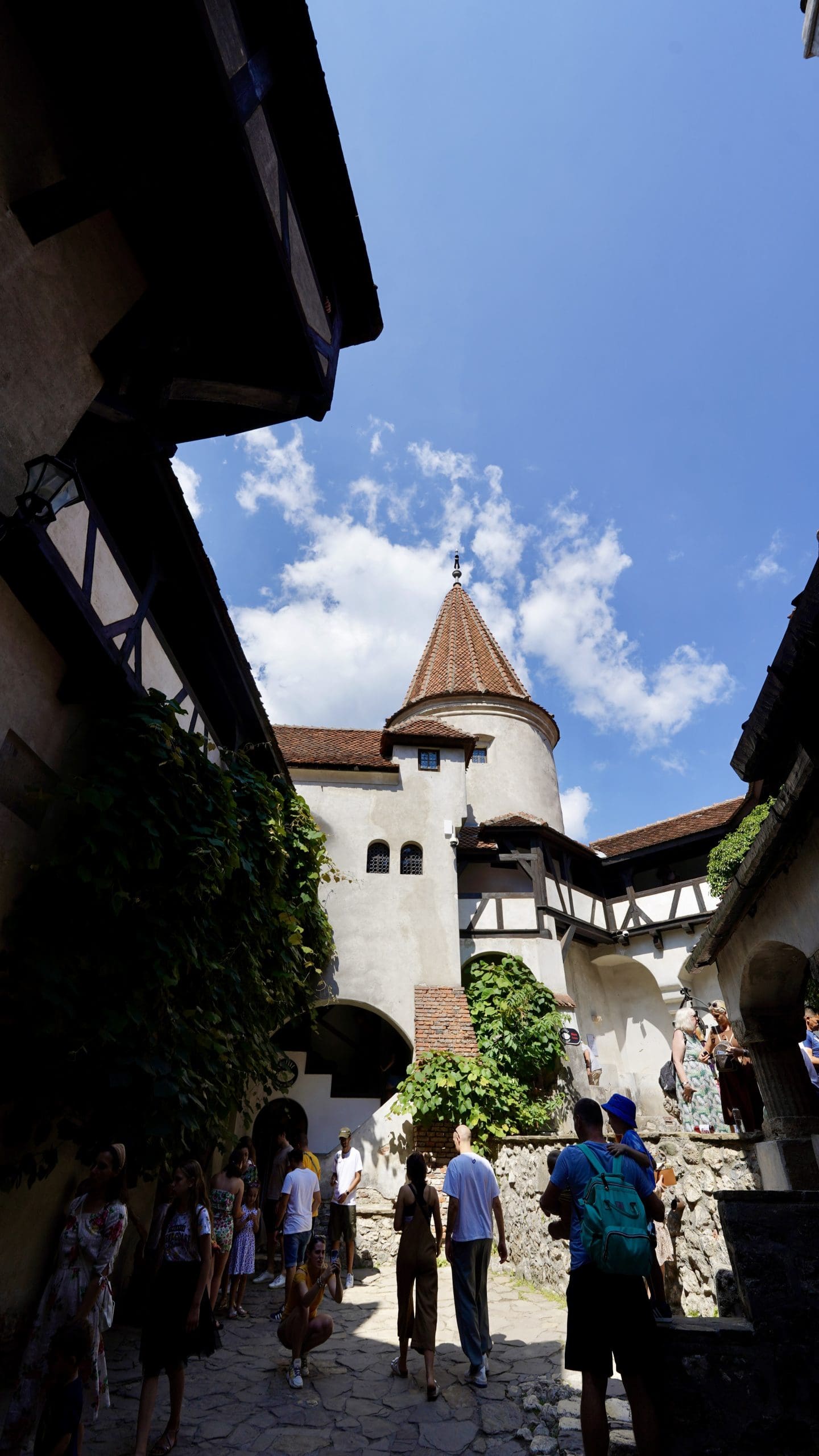 view from inside castle