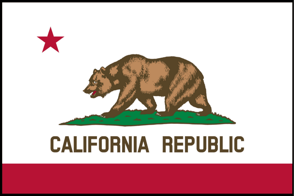 a white flag with bear and words california republic with one red star and a red base stripe