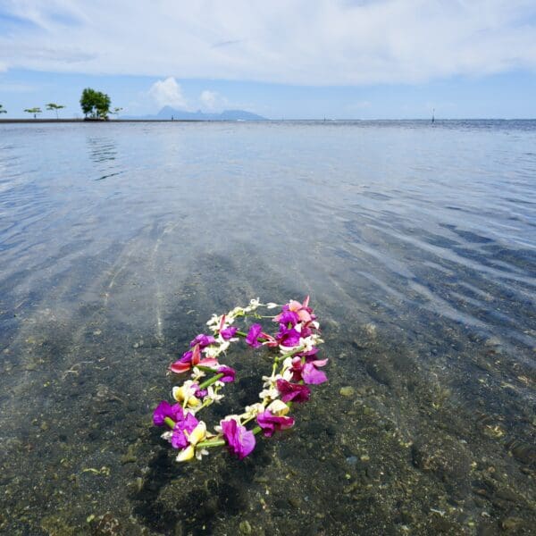 flower lei floating in the clear waters of Tahiti